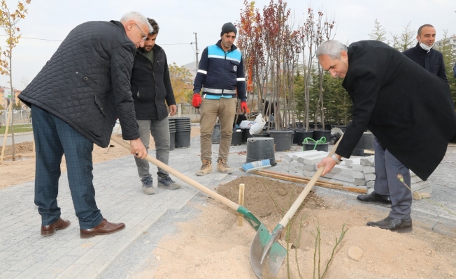 Başkan Güder gül fidanı dikti