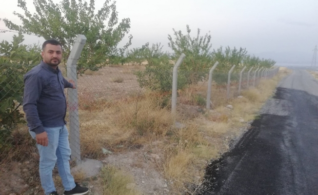 Kayısı üreticisinin başı tel örgü hırsızlarıyla dertte