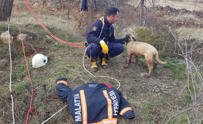 Kuyuya düşen köpek için zamanla yarıştılar