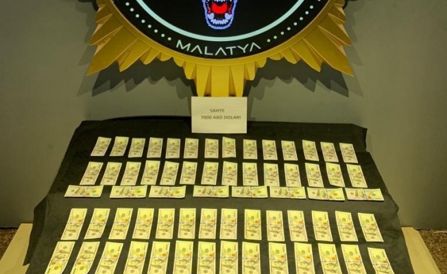 Malatya'da sahte 7 bin dolar ele geçirildi