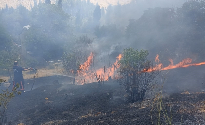 Malatya’da bahçelik alanda korkutan yangın