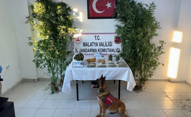 Malatya'da uyuşturucu operasyonu