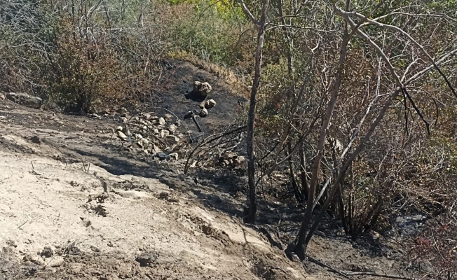 Darende’de bahçe yangını