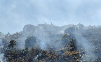 Malatya'da 3 ayrı noktada ot yangını