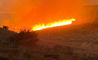 Malatya'da yüzlerce dönüm alanda anız yangını