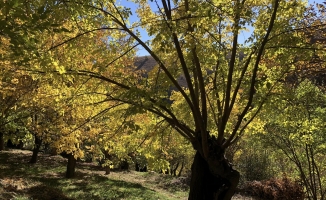 Arapgir ilçesi hayran bırakıyor