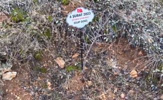 Malatya’da deprem şehitlerine saygısızlık! Bakımsızlıktan kurudu!