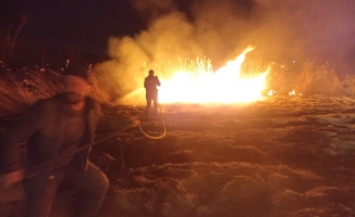 Malatya'da sazlık alanda yangın